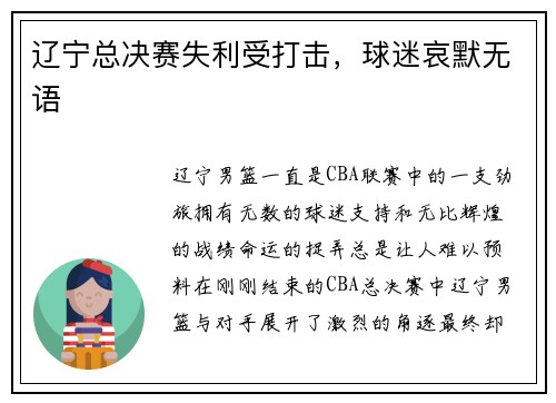 辽宁总决赛失利受打击，球迷哀默无语